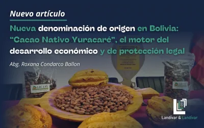 Nueva denominación de origen en Bolivia: «Cacao Nativo Yuracaré», el motor del desarrollo económico y de protección legal